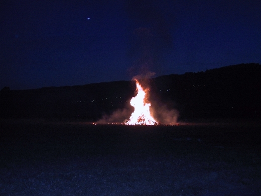 Image 031