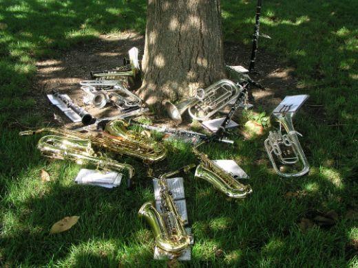 Image 005