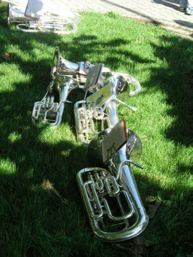 Image 006