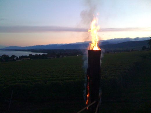 Image 017